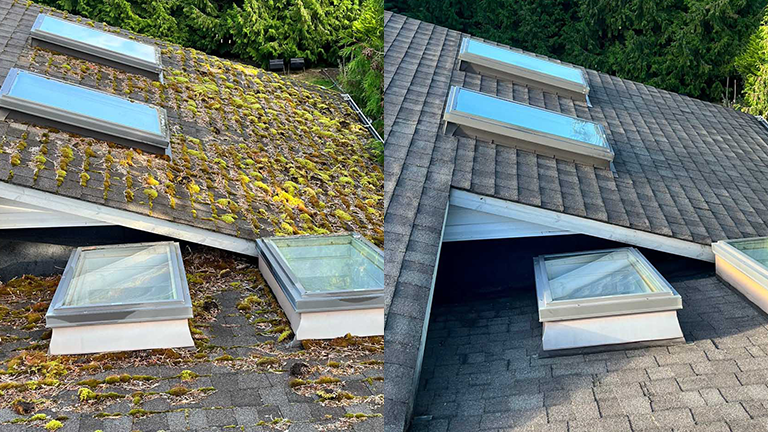 Before and After Nanaimo Roof Demossing